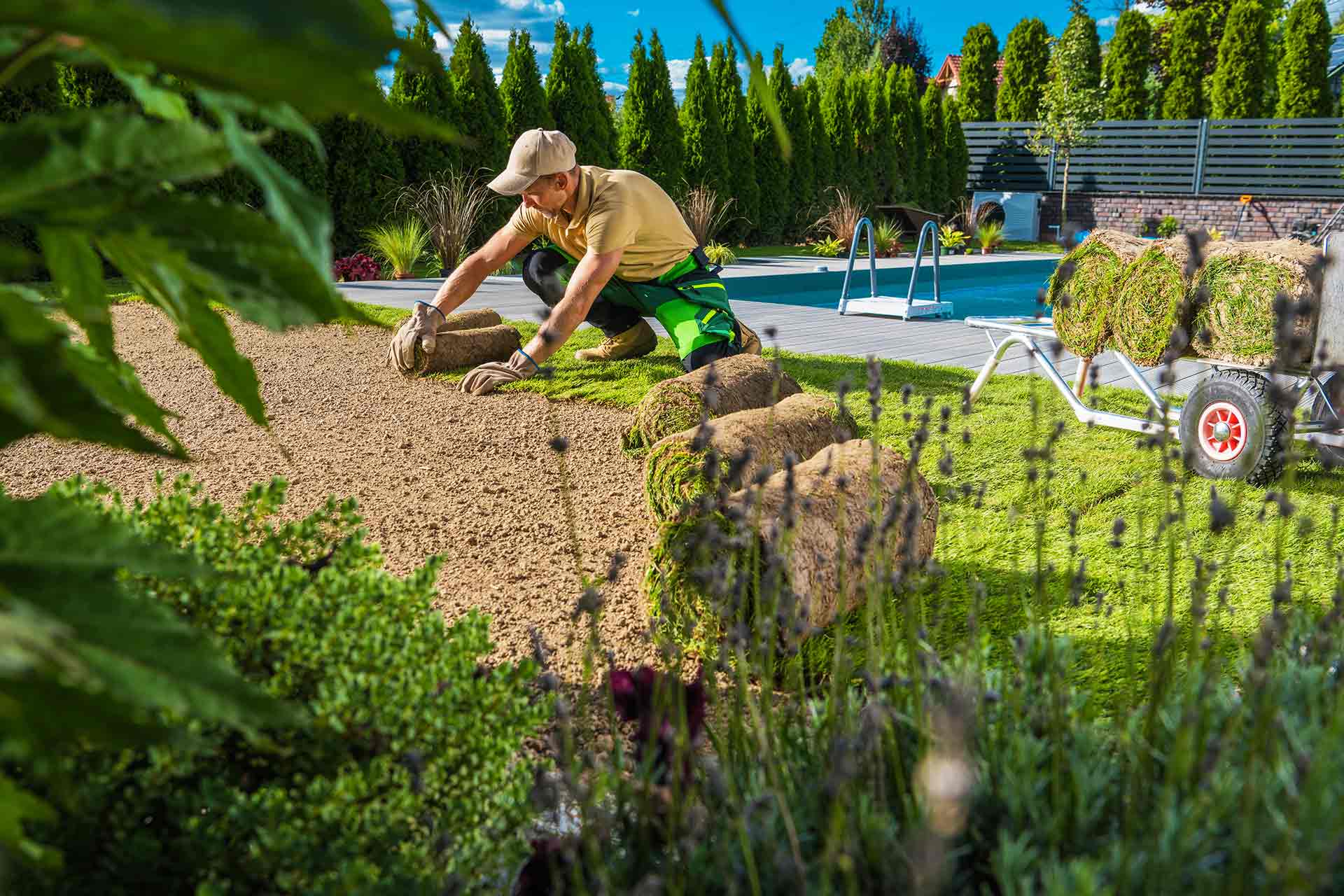 Backyard Transformation: Stump Grinding Restores Usable Space for a Local Homeowner